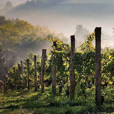 Frühstückspension Antico Hospitale Dogliani